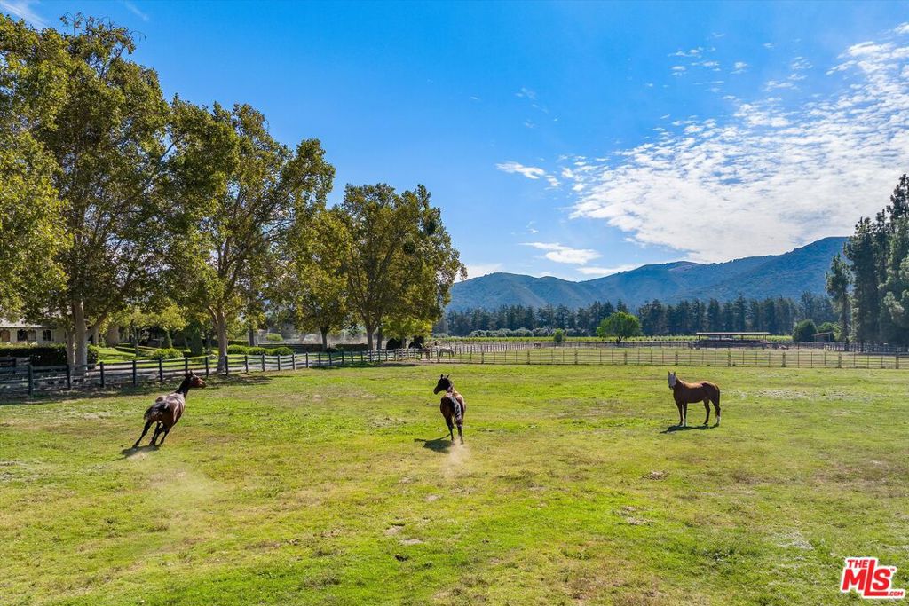 MLS #24460577 image #48