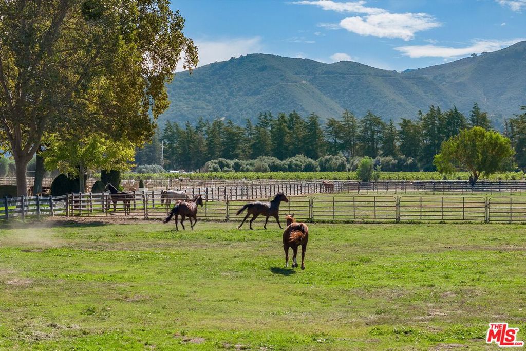 MLS #24460577 image #49