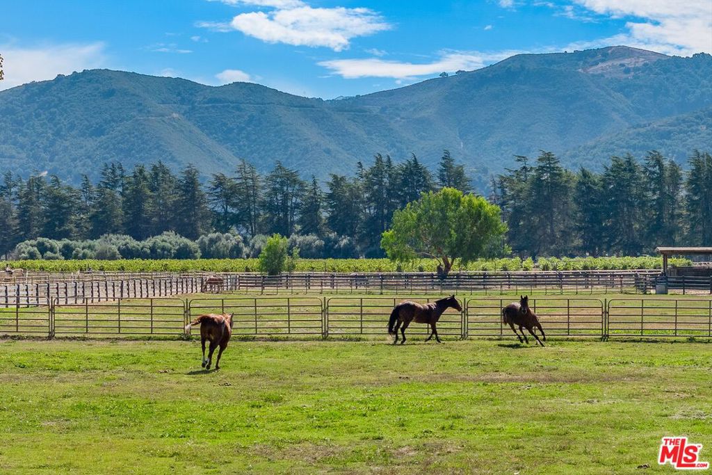 MLS #24460577 image #50