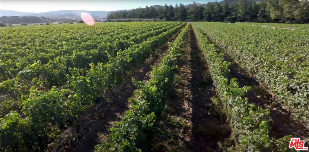 MLS #24460577 image #60