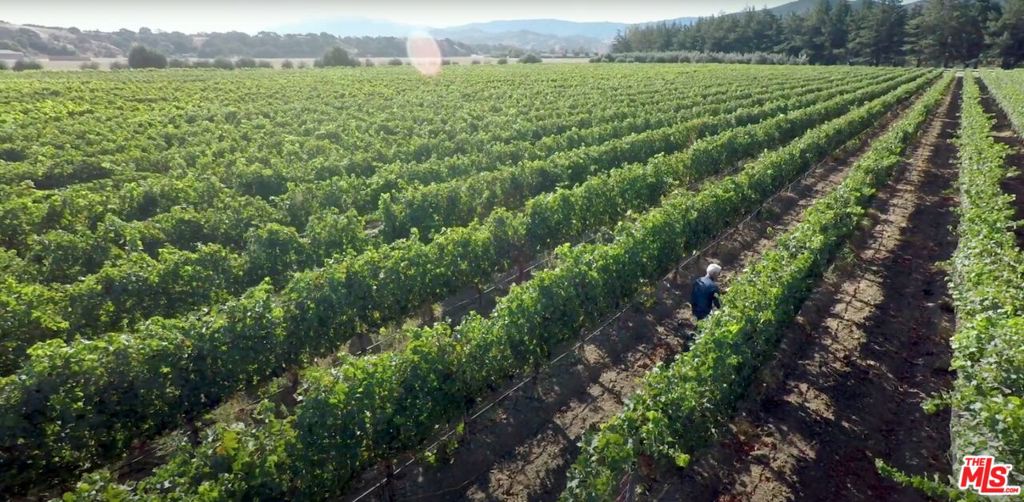 MLS #24460577 image #61