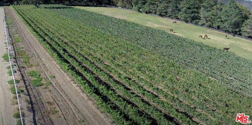 MLS #24460577 image #62