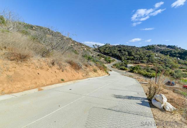 MLS #250000532SD image #4
