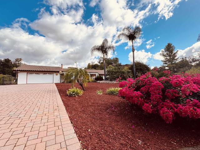 MLS #250019071SD image #11