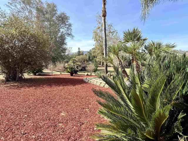 MLS #250019071SD image #13