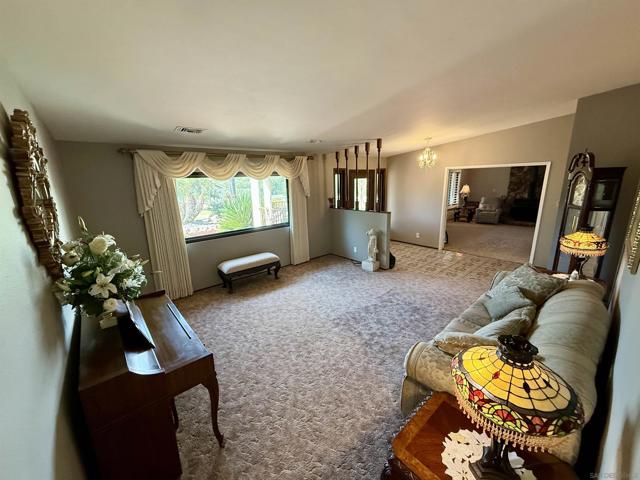 MLS #250019071SD image #17
