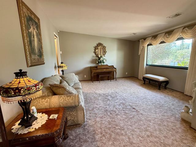 MLS #250019071SD image #18