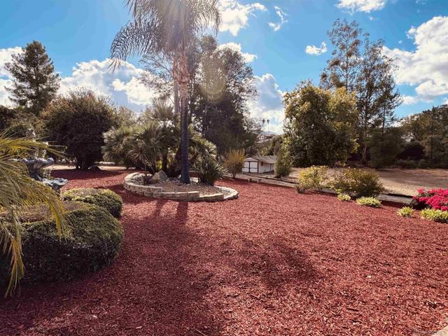 MLS #250019071SD image #6