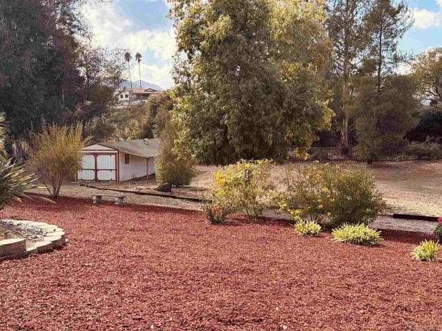 MLS #250019071SD image #7