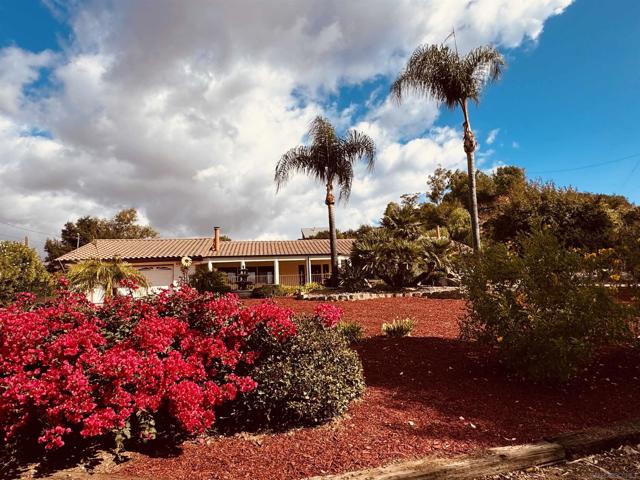 MLS #250019071SD image #8