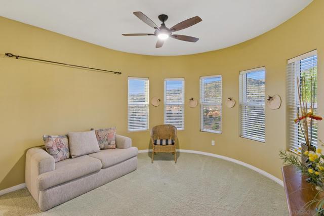 MLS #250020382SD image #55