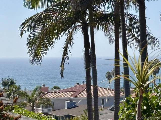 MLS #250021512SD image #59
