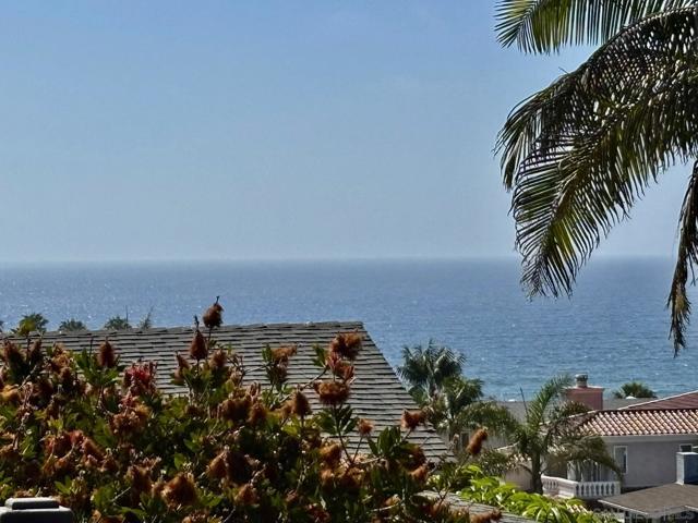 MLS #250021512SD image #60