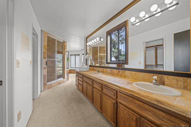 MLS #250025155SD image #28