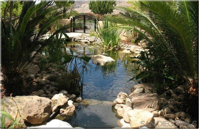 MLS #250025729SD image #39