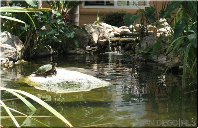 MLS #250025729SD image #41