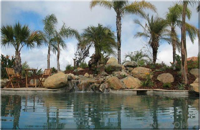 MLS #250025729SD image #42