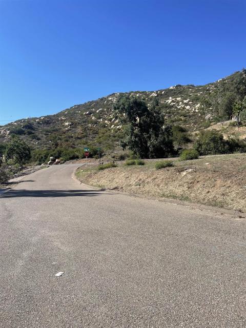 MLS #250026040SD image #14