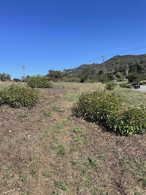 MLS #250026040SD image #15