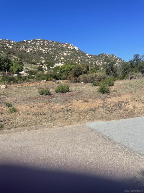 MLS #250026040SD image #16