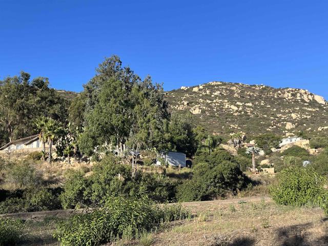 MLS #250026040SD image #6