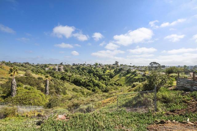 MLS #250026192SD image #40
