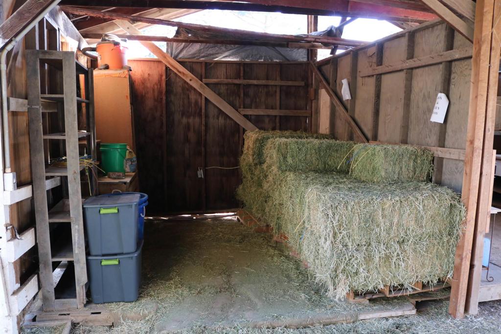 MLS #250027069SD image #26