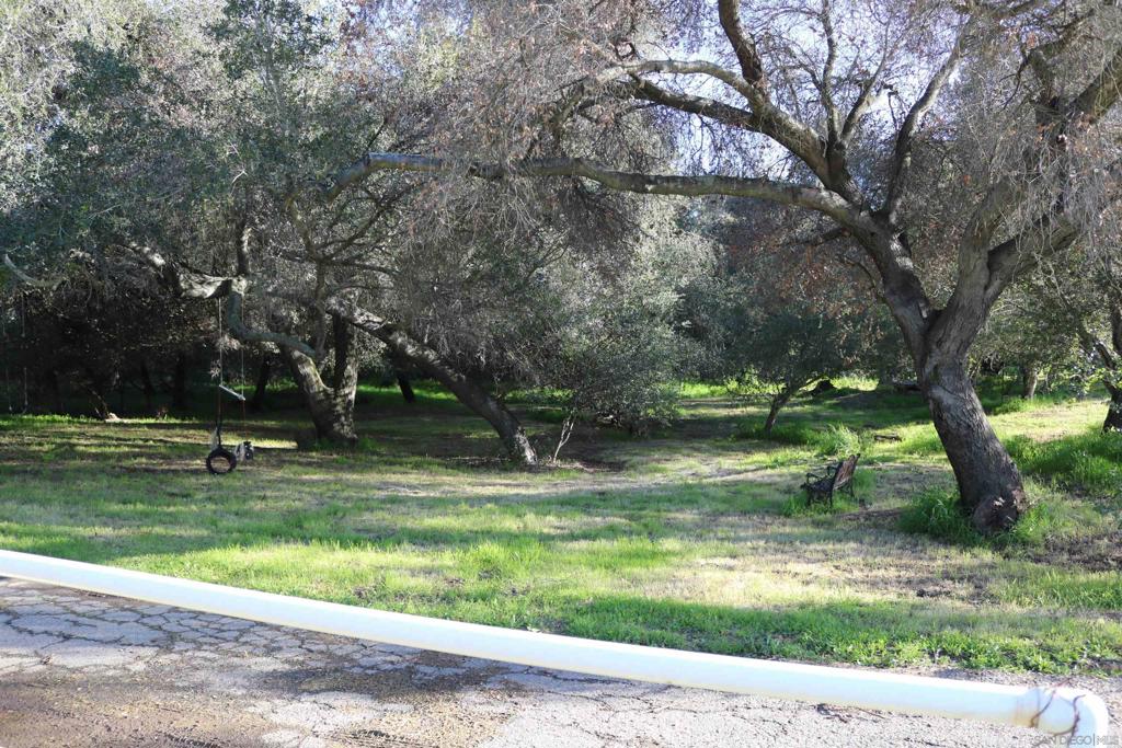 MLS #250027069SD image #32