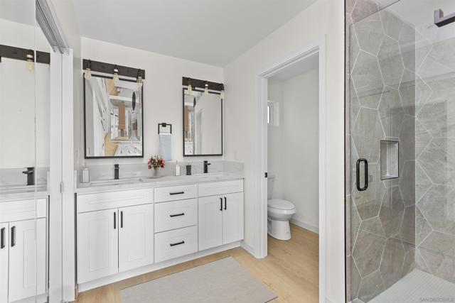 MLS #250029101SD image #5