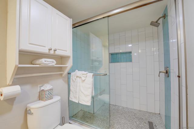 MLS #250030110SD image #41