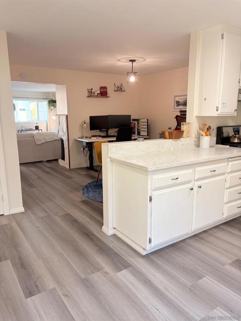 MLS #250030525SD image #9