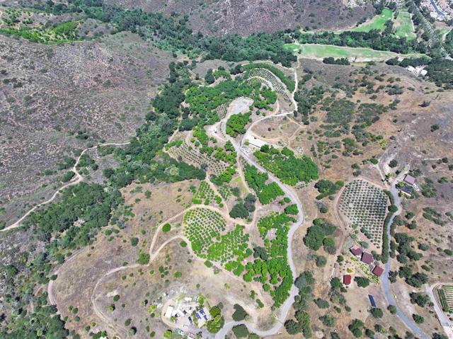 MLS #250031764SD image #3