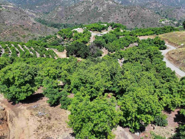 MLS #250031764SD image #5