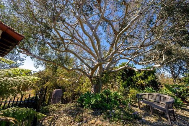MLS #250032982SD image #31