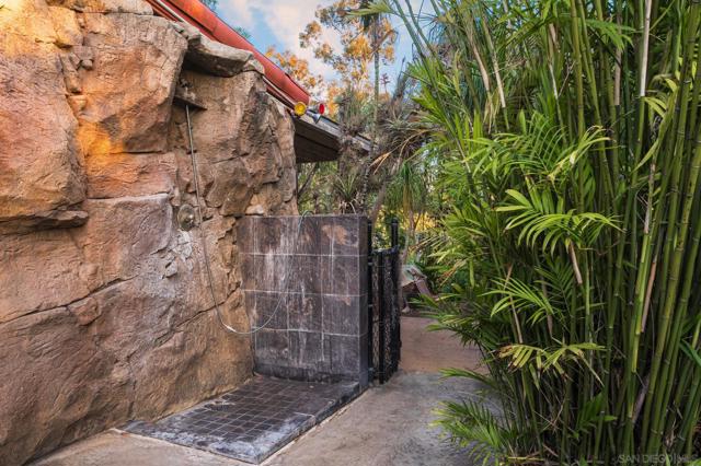 MLS #250033066SD image #44