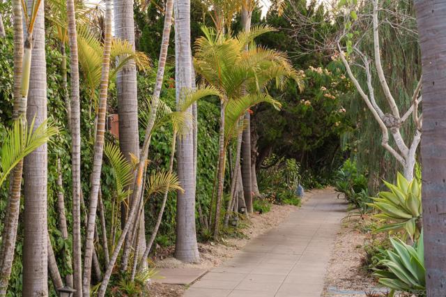 MLS #250033066SD image #62