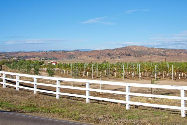 MLS #250034441SD image #61