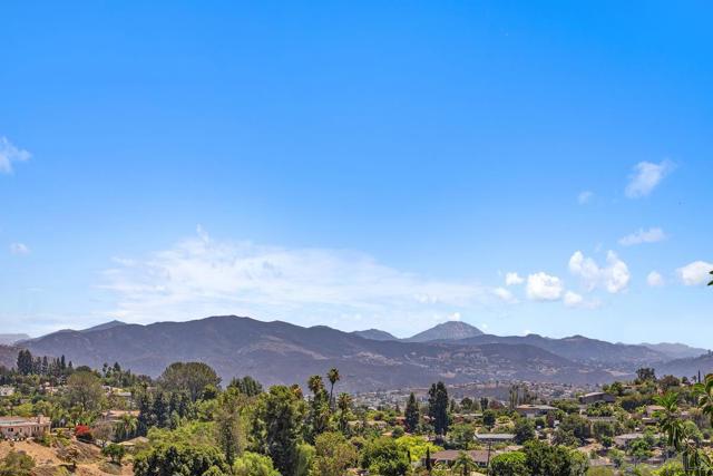 MLS #250034763SD image #42