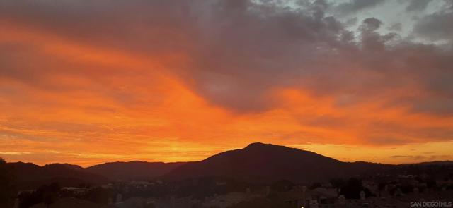 MLS #250035180SD image #4