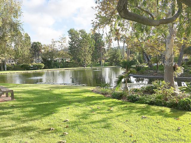 MLS #250035478SD image #10