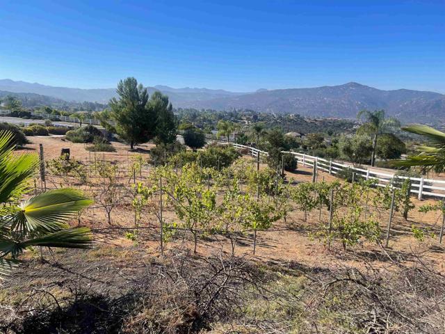 MLS #250035670SD image #49