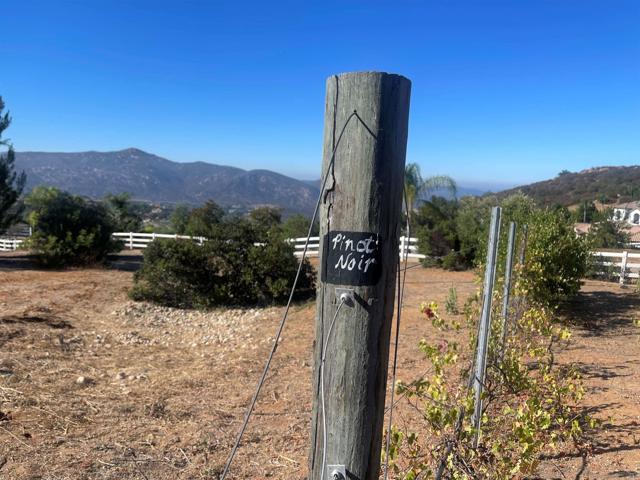 MLS #250035670SD image #53