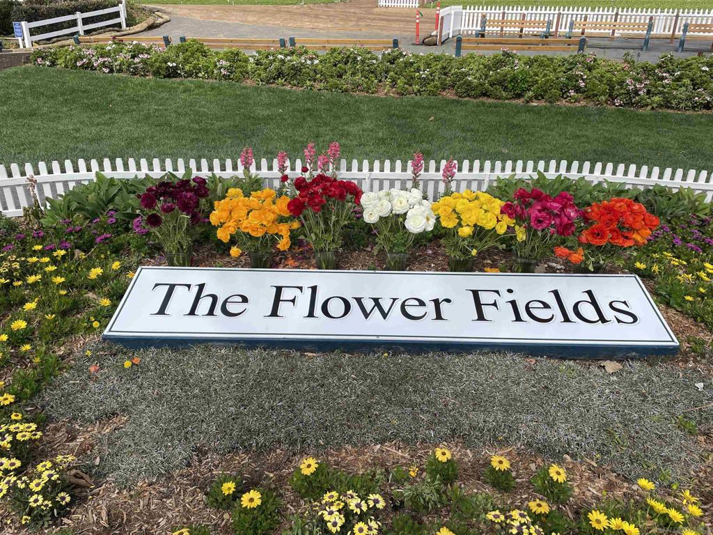 MLS #250036537SD image #33