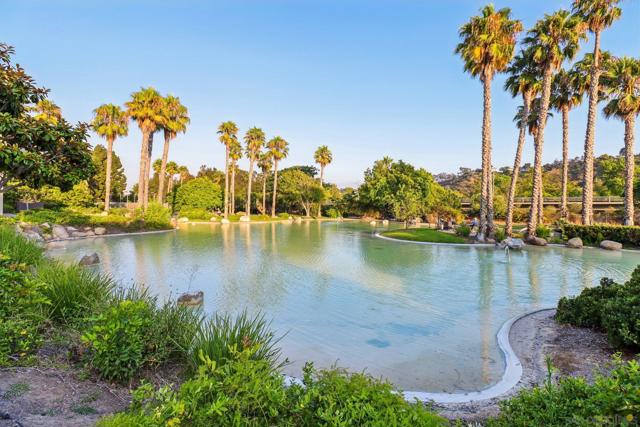 MLS #250037983SD image #37