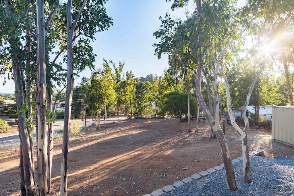 MLS #250038919SD image #42