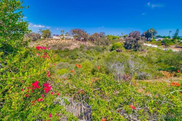 MLS #250038938SD image #22