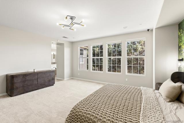 MLS #250039029SD image #27