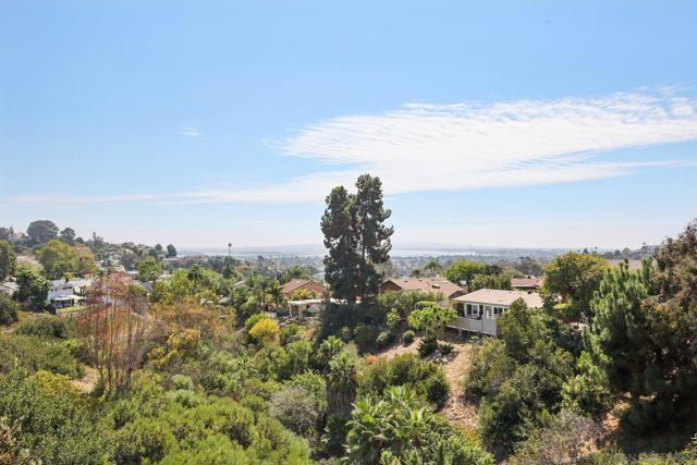 MLS #250039770SD image #47