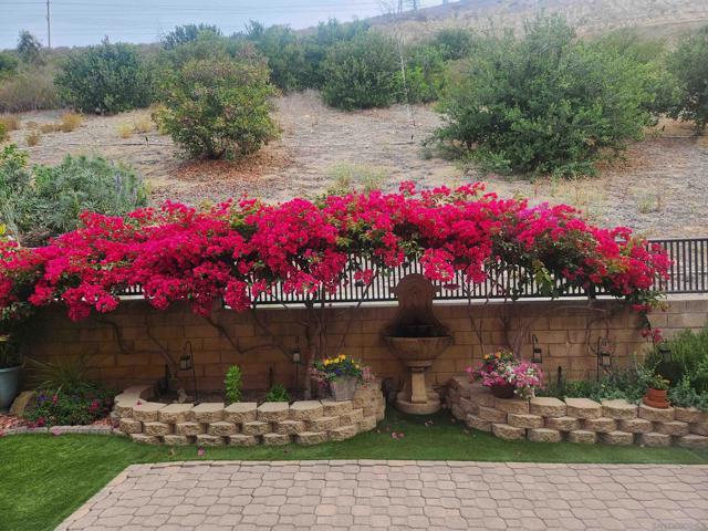 MLS #250040361SD image #4