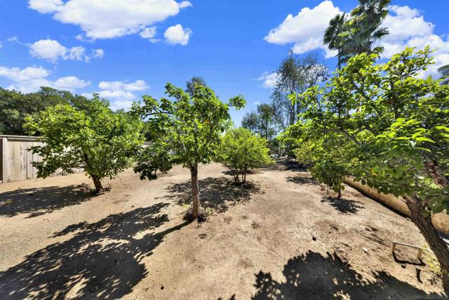 MLS #250040649SD image #75